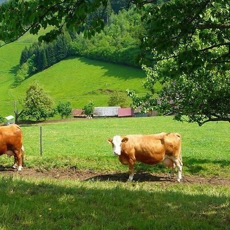 Apartament Ziegelhof Schuttertal Zewnętrze zdjęcie