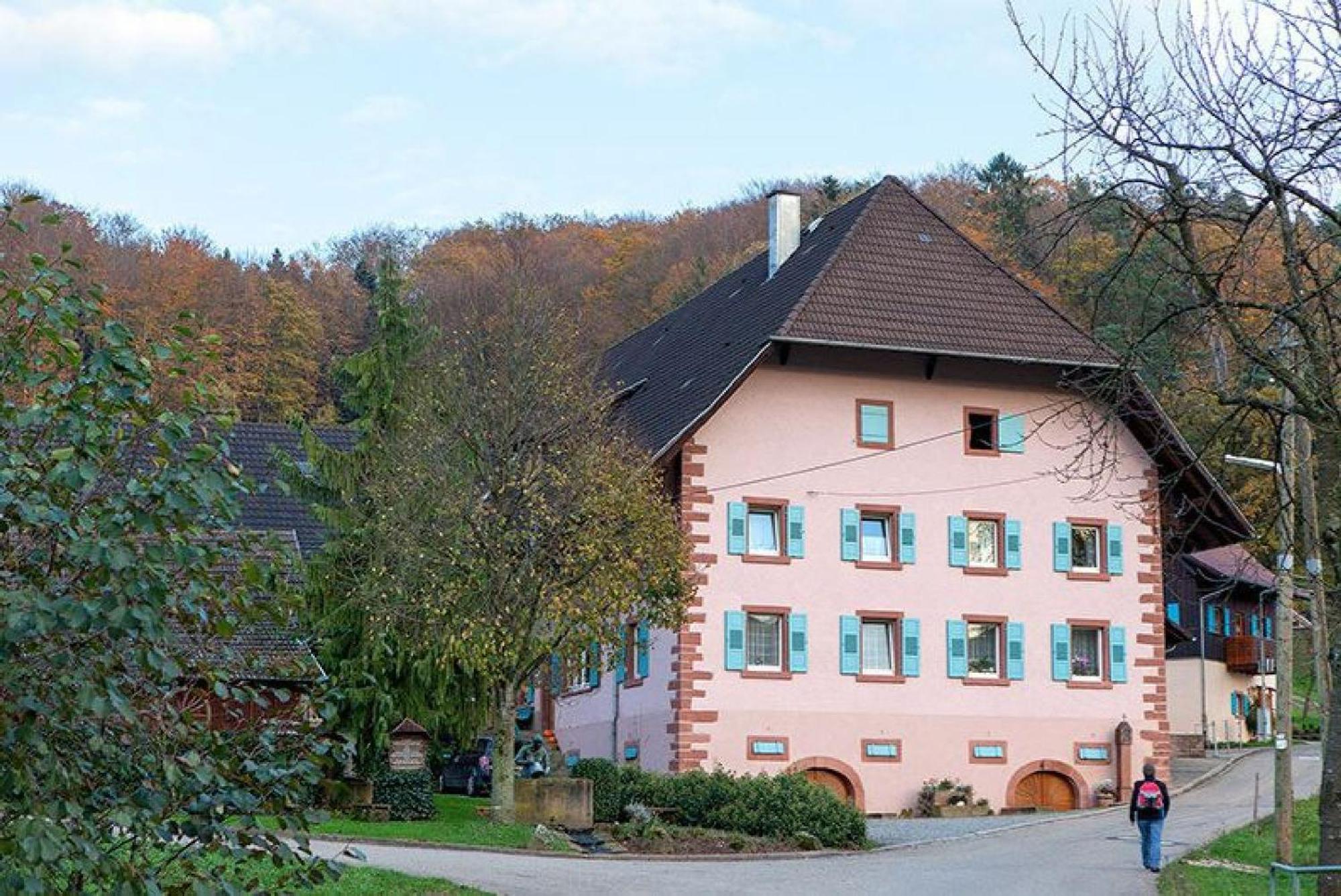 Apartament Ziegelhof Schuttertal Zewnętrze zdjęcie